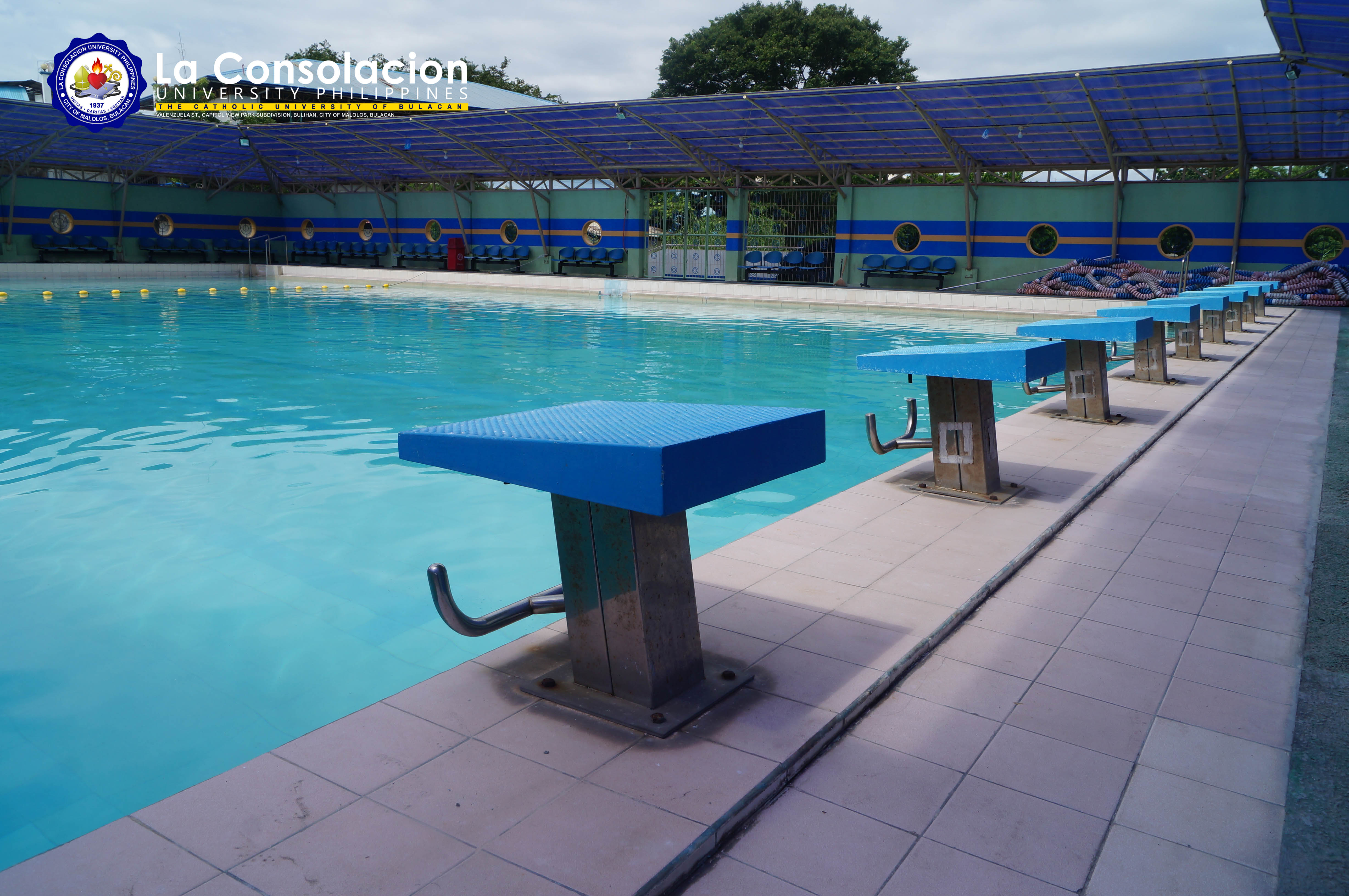 Adeodatus Mini Olympic Swimming Pool