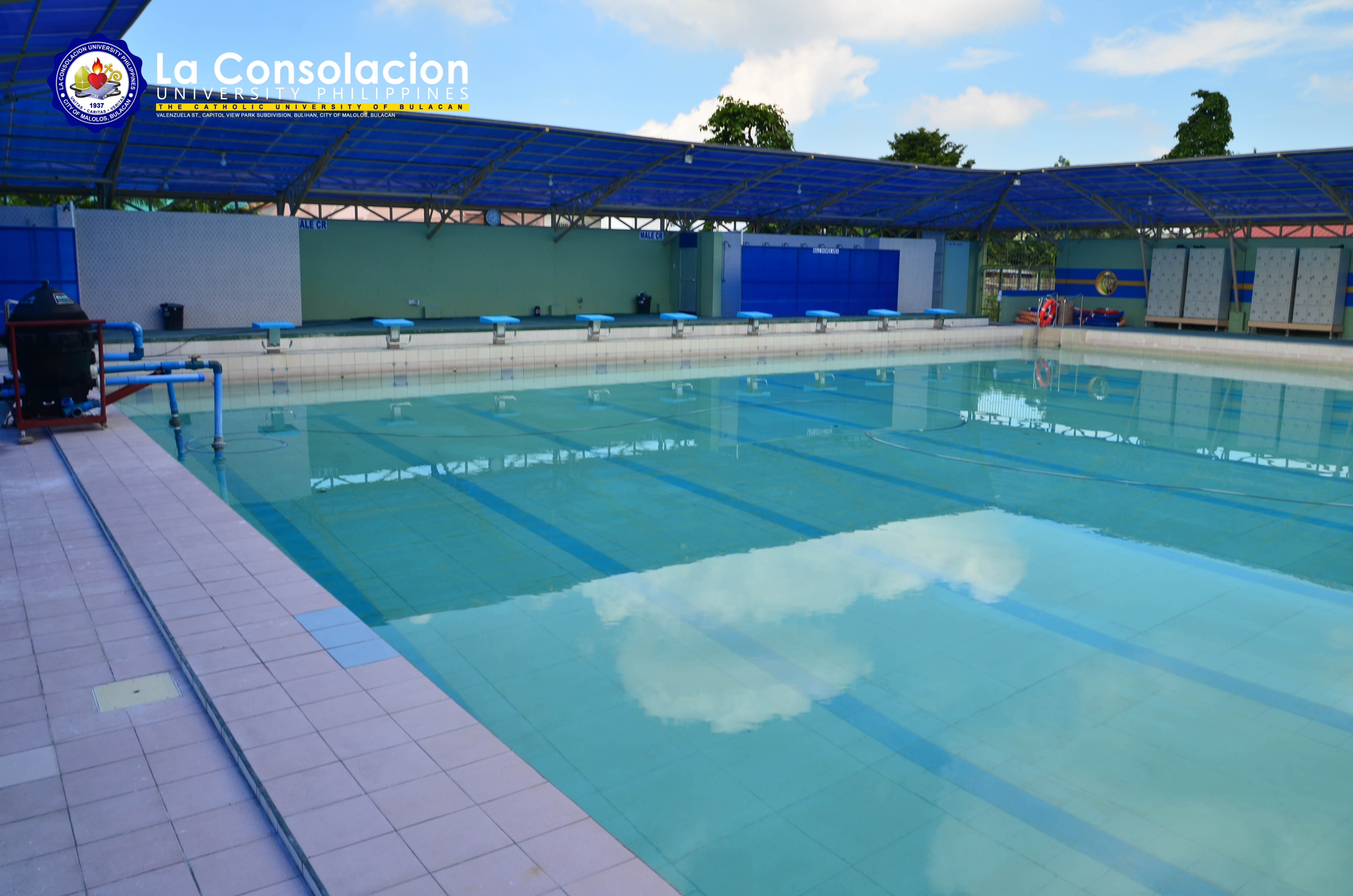 Adeodatus Mini Olympic Swimming Pool